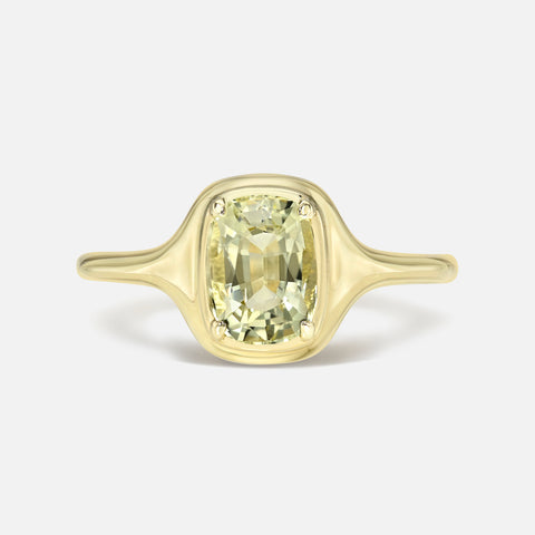 Gemstone Skinny Signet Ring